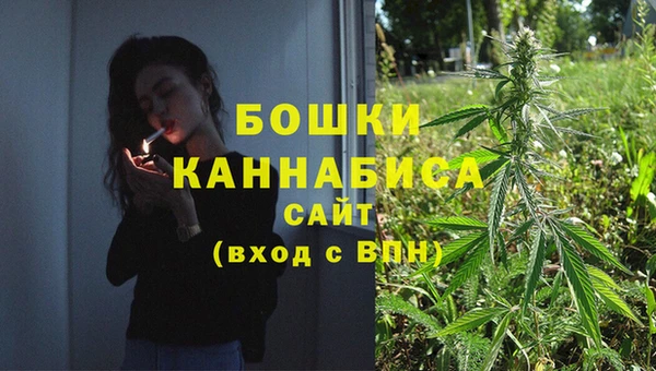 стаф Михайловск